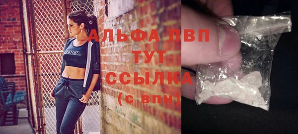 прущие крисы Вязьма