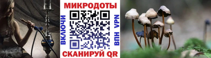 Галлюциногенные грибы мухоморы  блэк спрут зеркало  Михайлов 